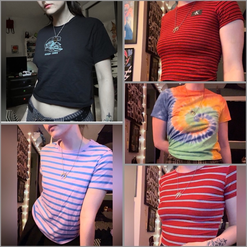BUNDLE micro tee crop tops set of 5